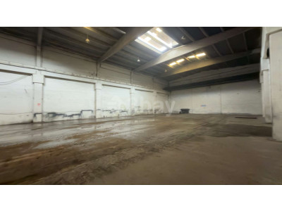 WhatsApp Image 2026-03-30 at 20.43.24.jpeg